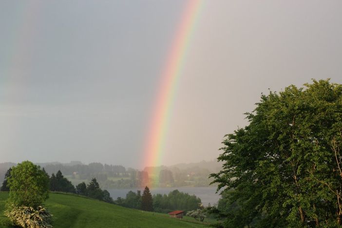 Regenbogen