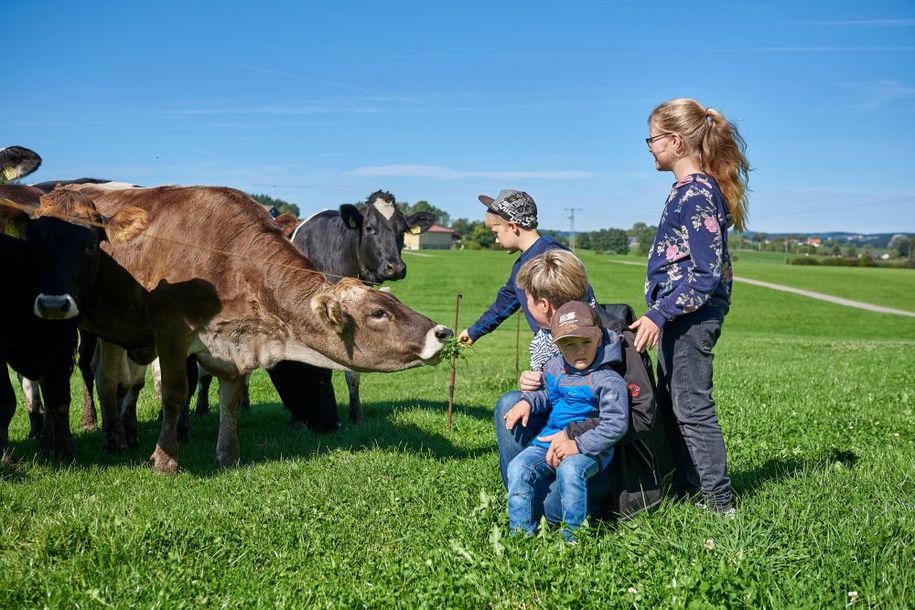 Tiere hautnah erleben