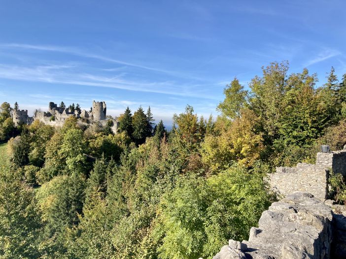 Ruine Frey- & Eisenberg