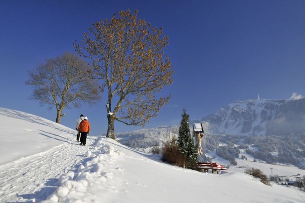 alpsee_gruenten_winter_sanft