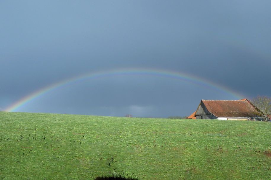 Regenbogen