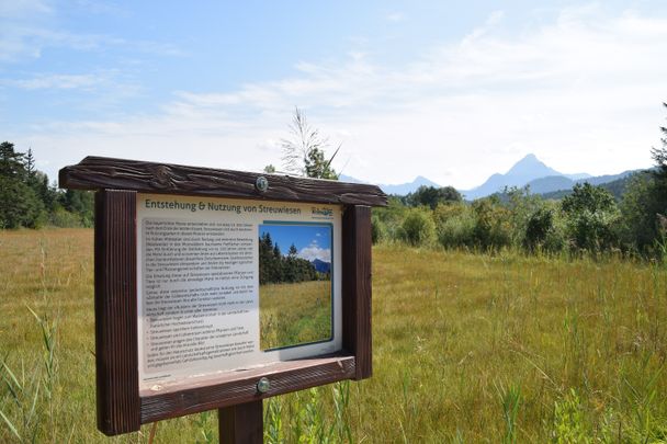 Informationstafel zum Thema Streuwiese des Tourismusverein Weißensee