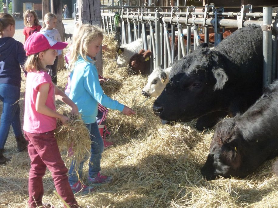 Tierfütterung mit den Kindern