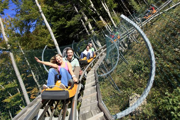 Bergab mit dem Alpsee-Coaster