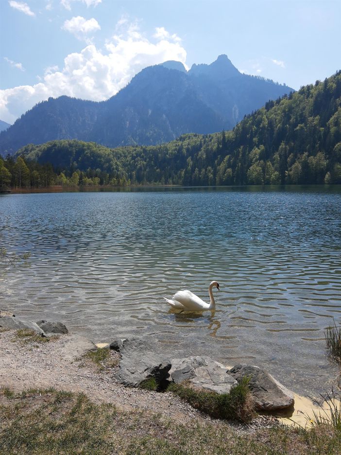 Schwansee