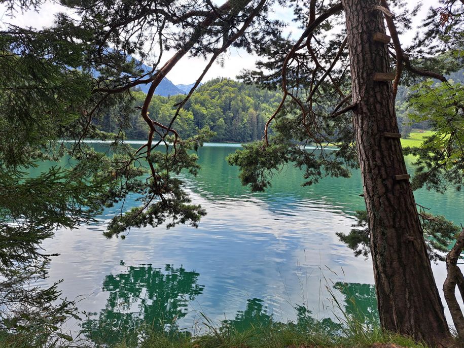 Der Alatsee  lädt zu einem kühlen Bad ein.