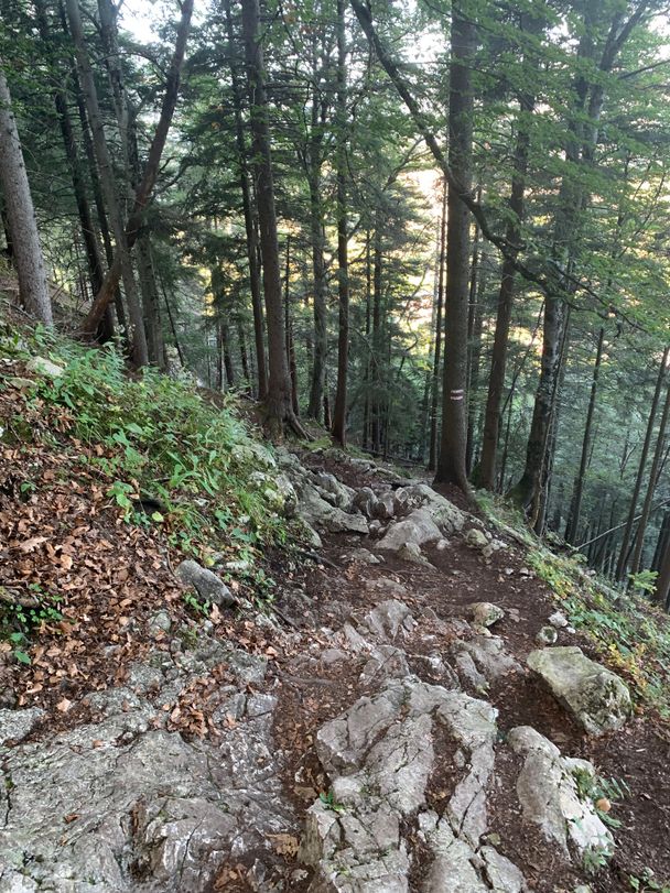 Anspruchsvoller Wanderweg zur Burgruine Falkenstein