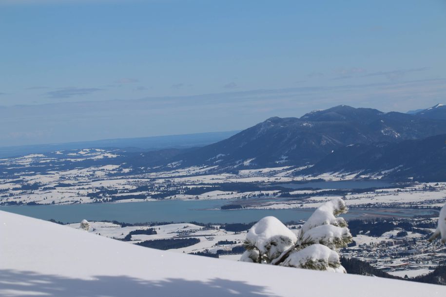 Blick auf den Hopfensee