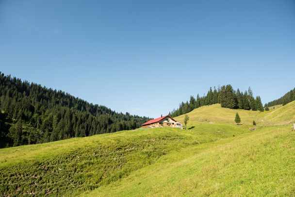 Schwabenalpe bei Obermaiselstein