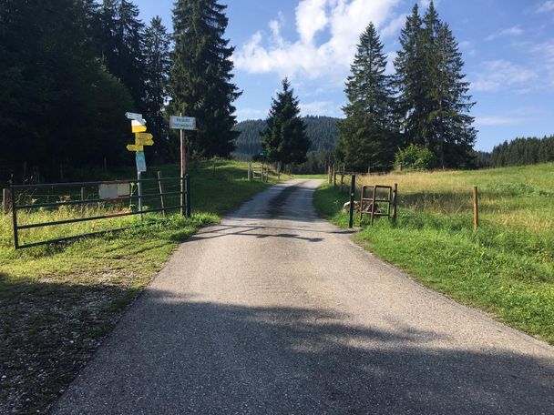 Weidegatter auf dem Fahrweg zum Buchenberg