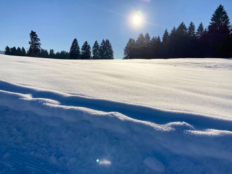 Winterwanderweg Hopfen - Stiefenhofen