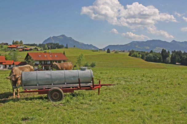 Untermühlegg mit Grünten