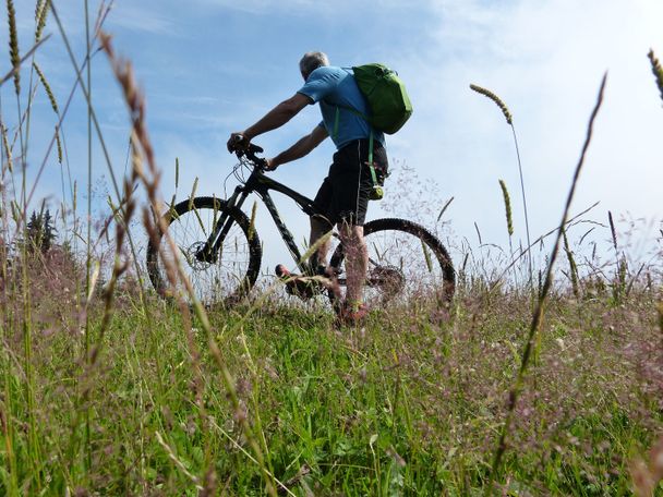 Mountainbiken Salmaser Höhe