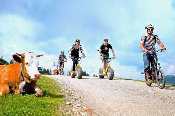 Downhill Roller in Ofterschwang im Allgäu