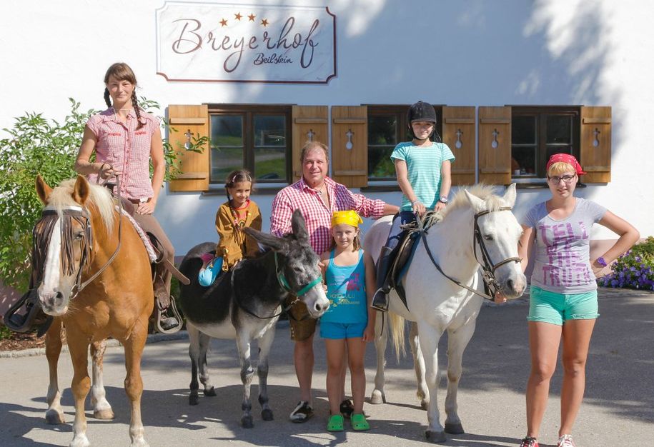 Reiten auf dem Breyerhof