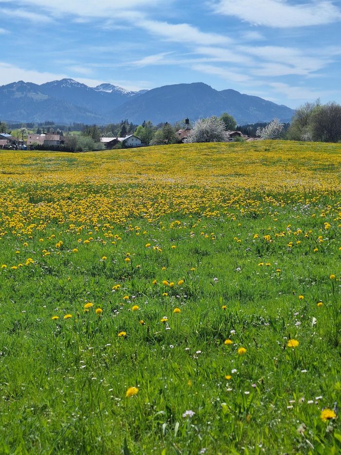 Blick auf Rottach