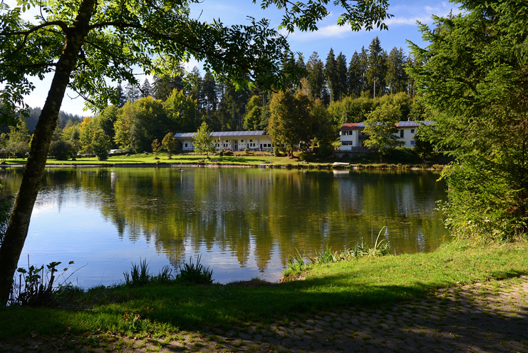 Felderholzweiher Waldbad Isny