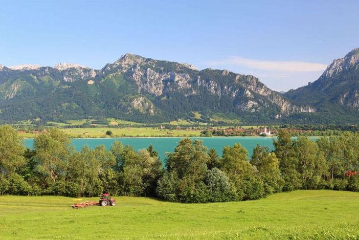 Aussicht Forggensee und Berge