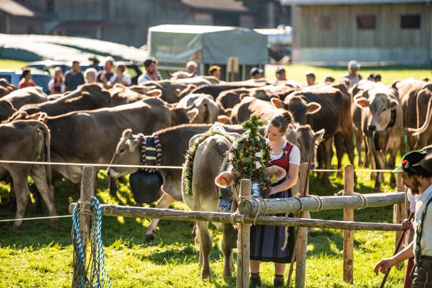 2019_09_13_Viehscheid-Oberstaufen-Fullres61