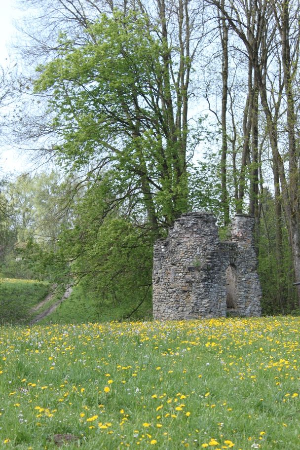 Burgruine Kalden