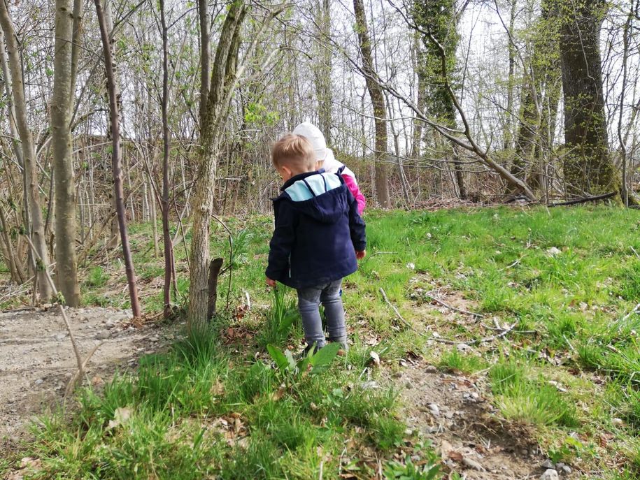 Im Wald direkt neben dem Haus