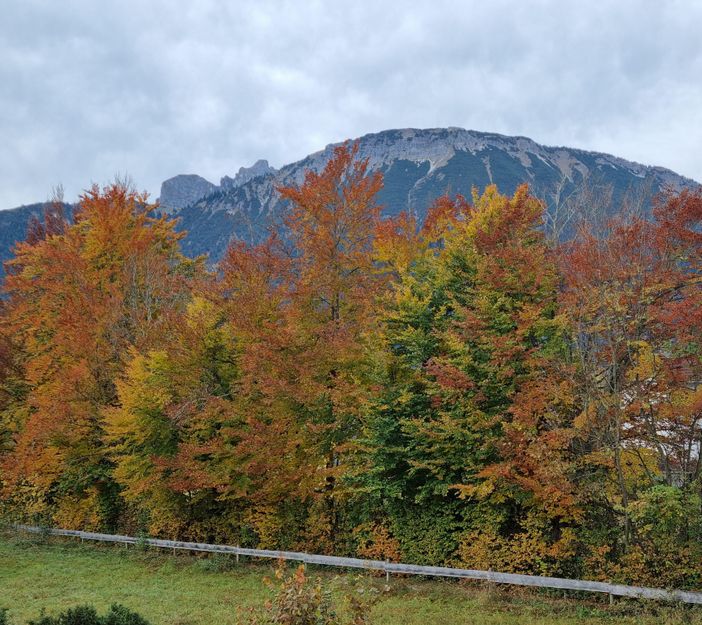 herbstliche Balkonaussicht