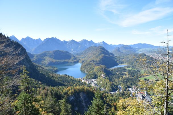 Blick auf Alpsee und Schwansee