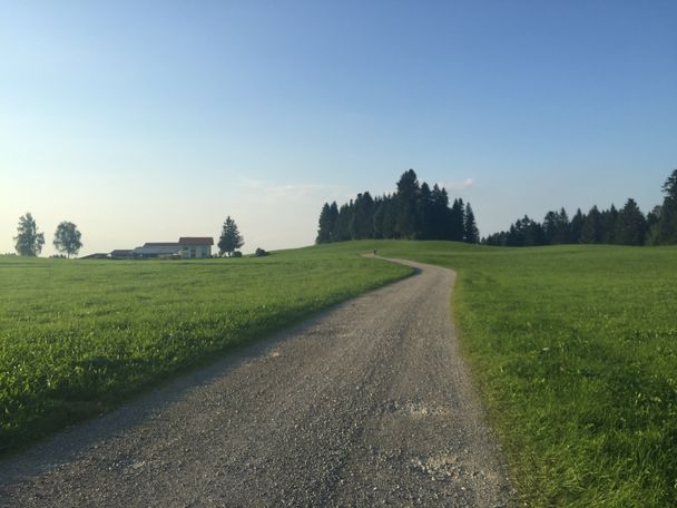 Forstweg zum Tobelrandweg