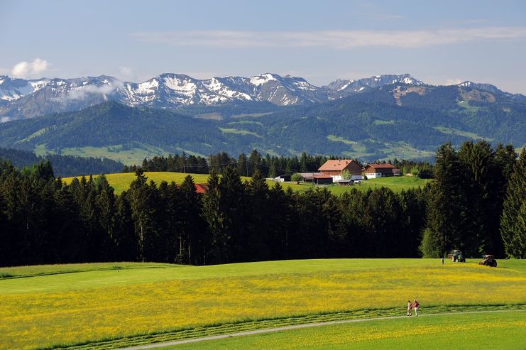 Alpenpanorama