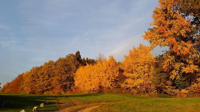 Herbstausblick vor der Ferienwohnung