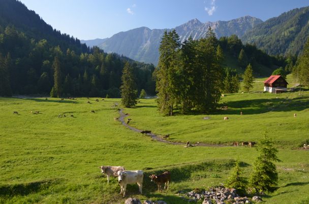 Wandern im Naturschutzgebiet