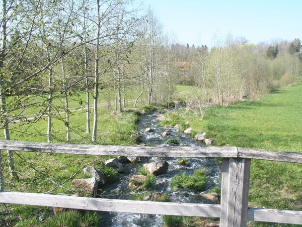 Fischtreppe Blick von der Brücke