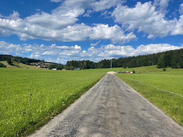 Straße von Mutten nach Trabers