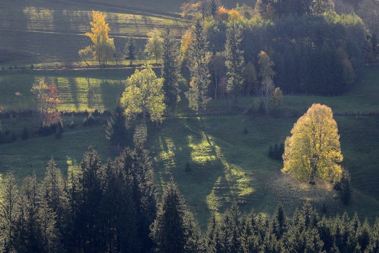 Adelgg bei Eisenbach