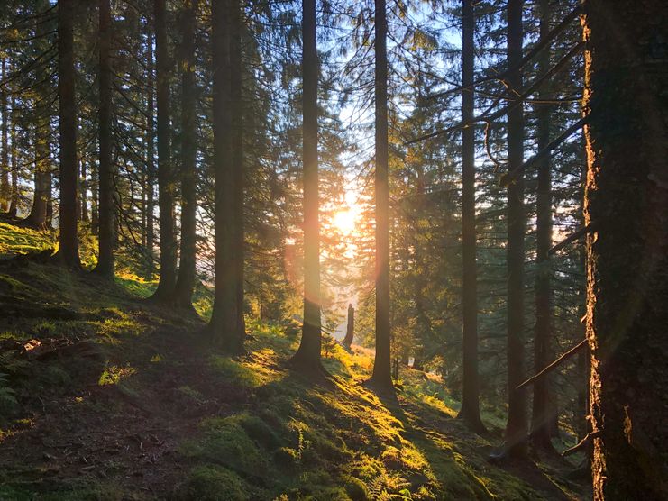 Führung Balderschwang_cAlex Haibel