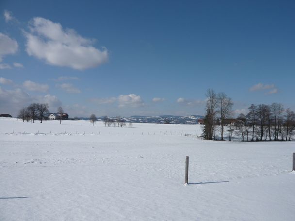 Blick vom Rand des Kempter Waldes Richtung Westen (1)