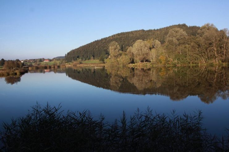 Der idyllische Herrenwieser Weiher