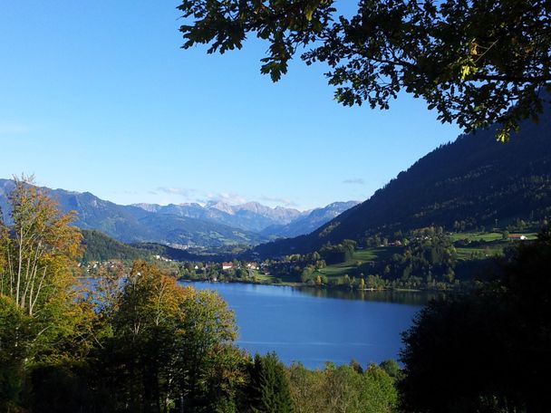 Ausblick von der Alpe Schönesreuth