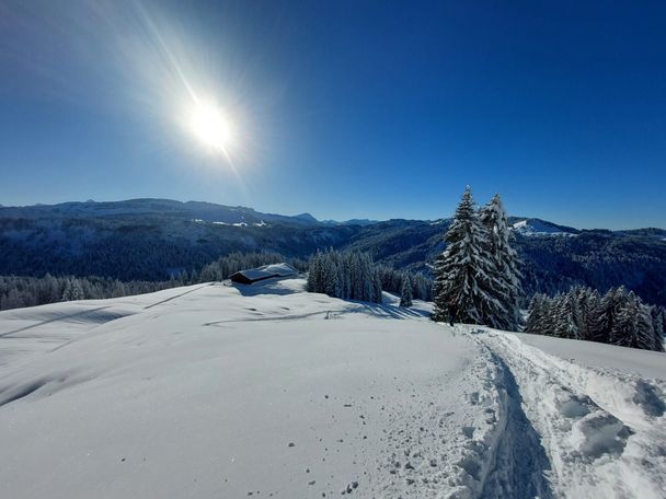 Von Grasgehren auf's Riedbergerhorn (1.787m)