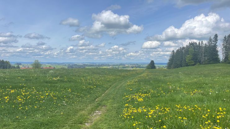 Wiesentrail zum Tobelrandweg