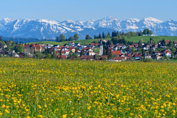 Scheidegg-Fruehjahr_Thomas-Gretler