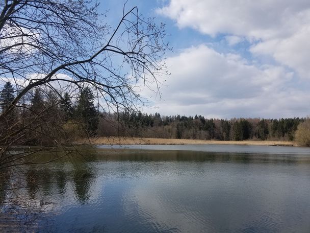 Beim Hammerweiher