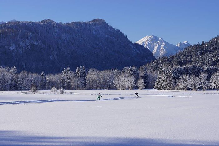 Langlaeufer_in_Schwangau_4524_55b9502d838