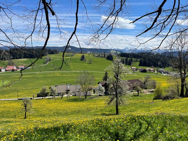 Frühlingserwachen im Westallgäu