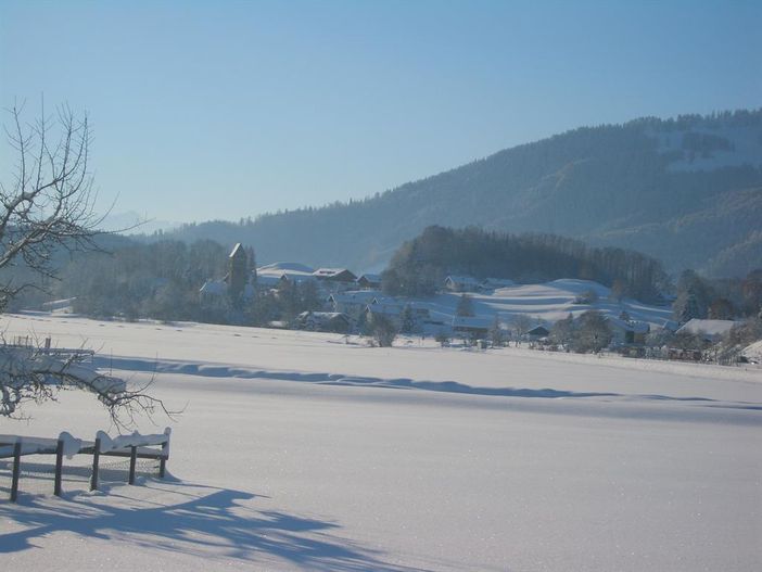 Stein im Winter