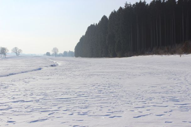 Langlaufidylle rund um Bad Wörishofen