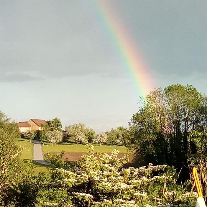 Regenbogen von der Terrasse aus