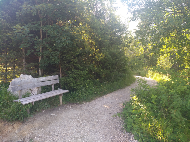 Schutzengelweg zur Rohrkopfhütte