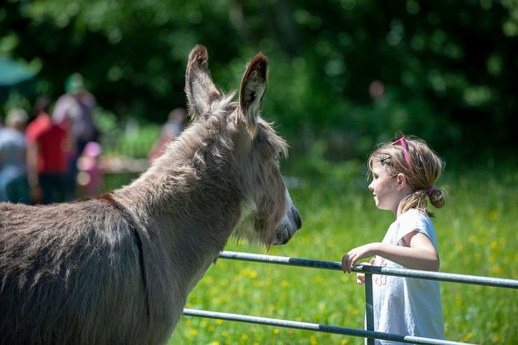 Kind und Esel_Foto Brauchle