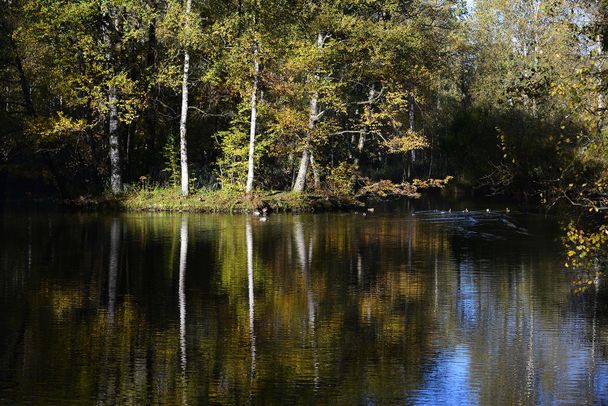 Isny Naturschutzgebiet Schächele